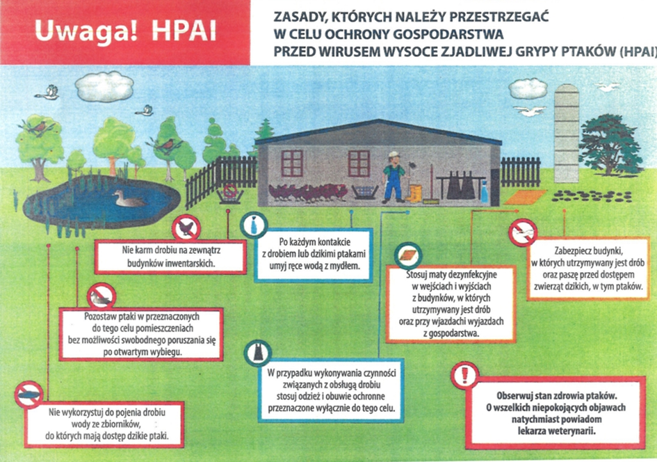 Schemat postępowania