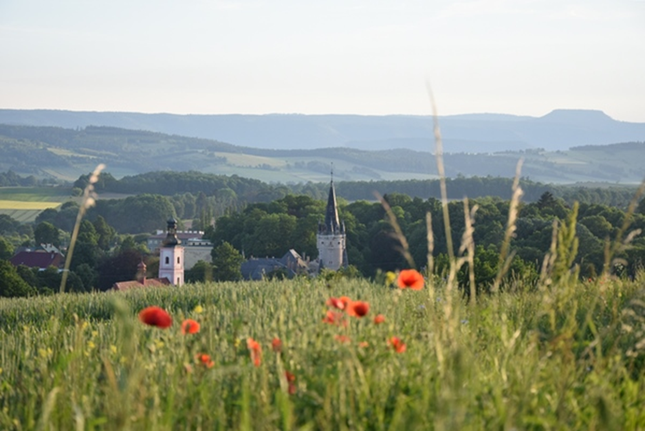 Widok na pałac w Bożkowie Fot. Barbara Adamska