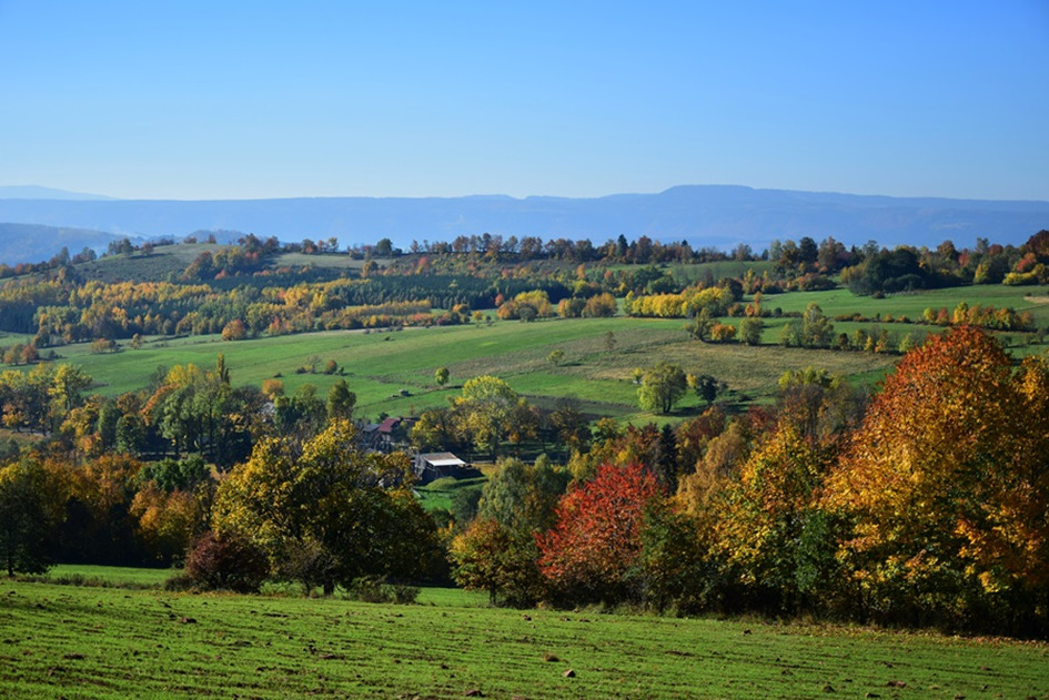Sokolica. Fot. B. Adamska