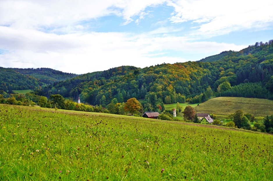 Panorama Nowej Wsi Kłodzkiej Fot. B. Adamska