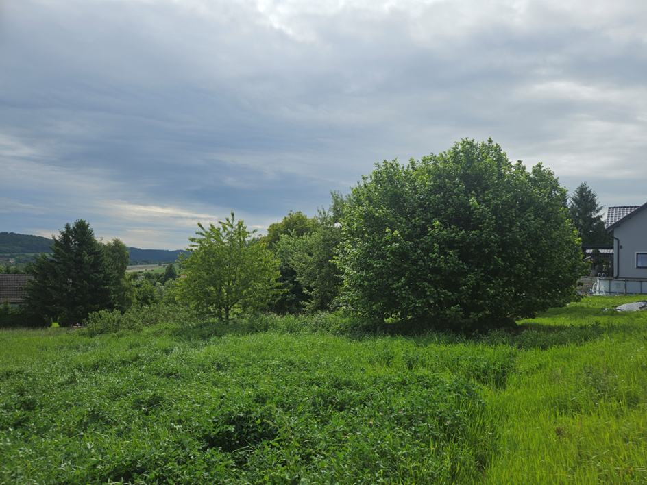 Widok na działkę