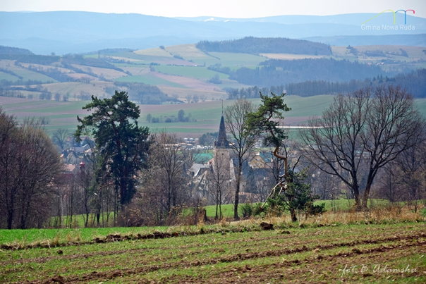 Widok na drzewo i Bożk&oacute;w w tle Fot. B. Adamska