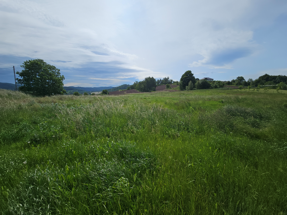 Widok na działki