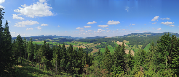 Panorama z tarasu widokowego Fot. W. Gawrońska