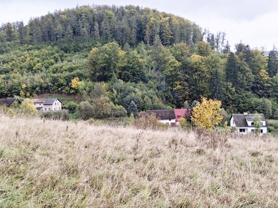Miejsce dawnej osady folwarcznej K&ouml;pprich w dolinie u podn&oacute;ża Dziczka (autor E. Kawałkowa)